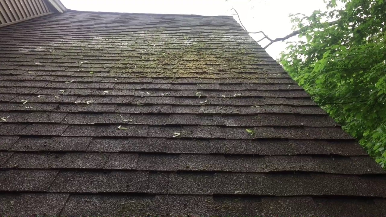 how-to-remove-mold-from-your-roof-new-era-roofing-concept